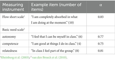 The effect of basic psychological needs on the flow experience in a digital gamified learning setting
